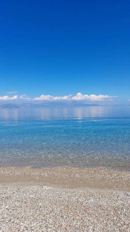 Akrata Rose Garden Apartments I Paralia Akratas ภายนอก รูปภาพ